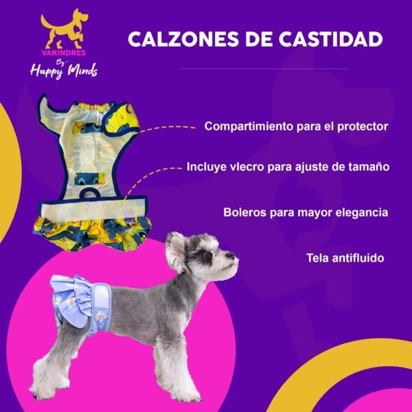 Calzon De Castidad HK