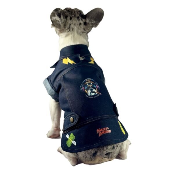Chaqueta Jean HD